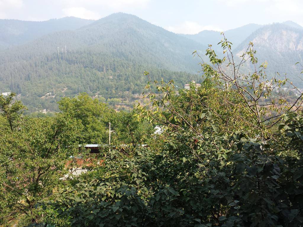 Bacho,S Cottage Borjomi Exterior foto