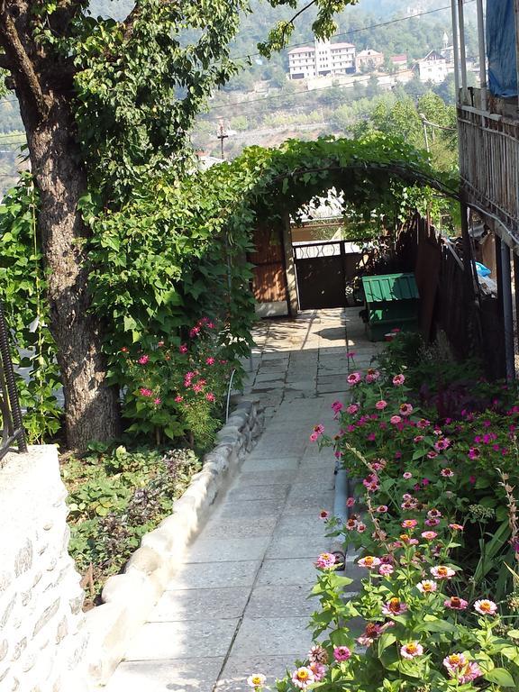 Bacho,S Cottage Borjomi Exterior foto